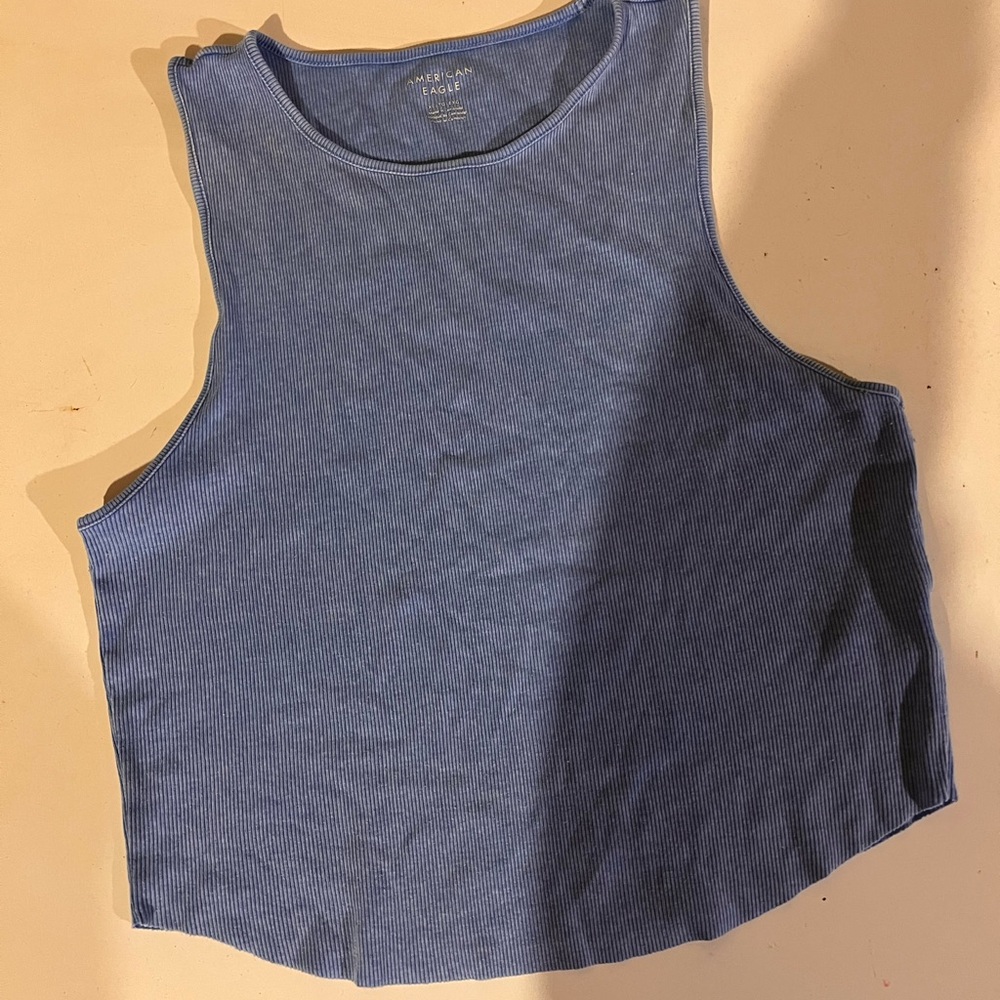 American Eagle Outfitters Blue Ribbed Crop Tank
